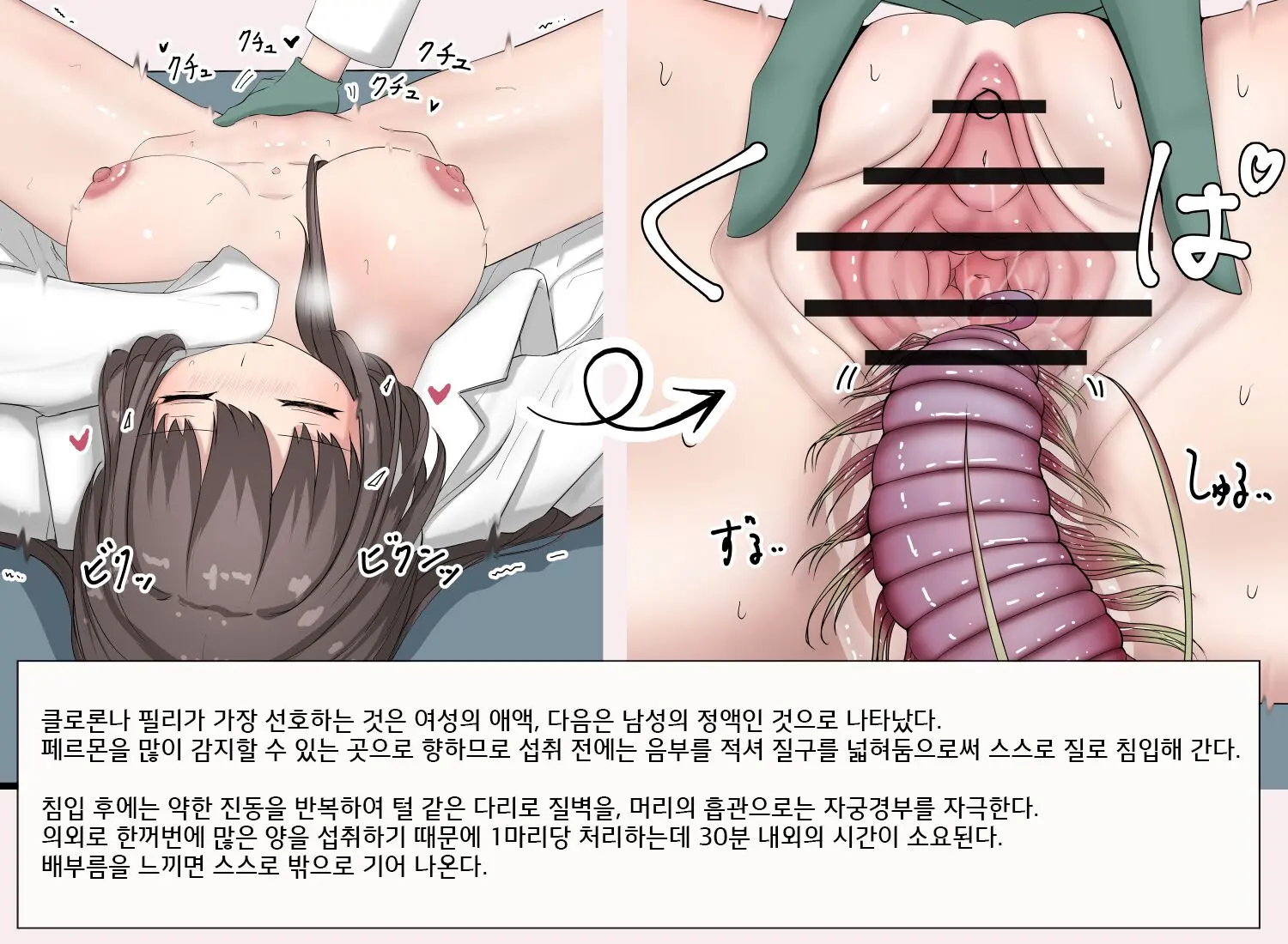 Mushi Research Report No.13